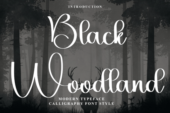 Black Woodland: A Premium Script Font for Web Design